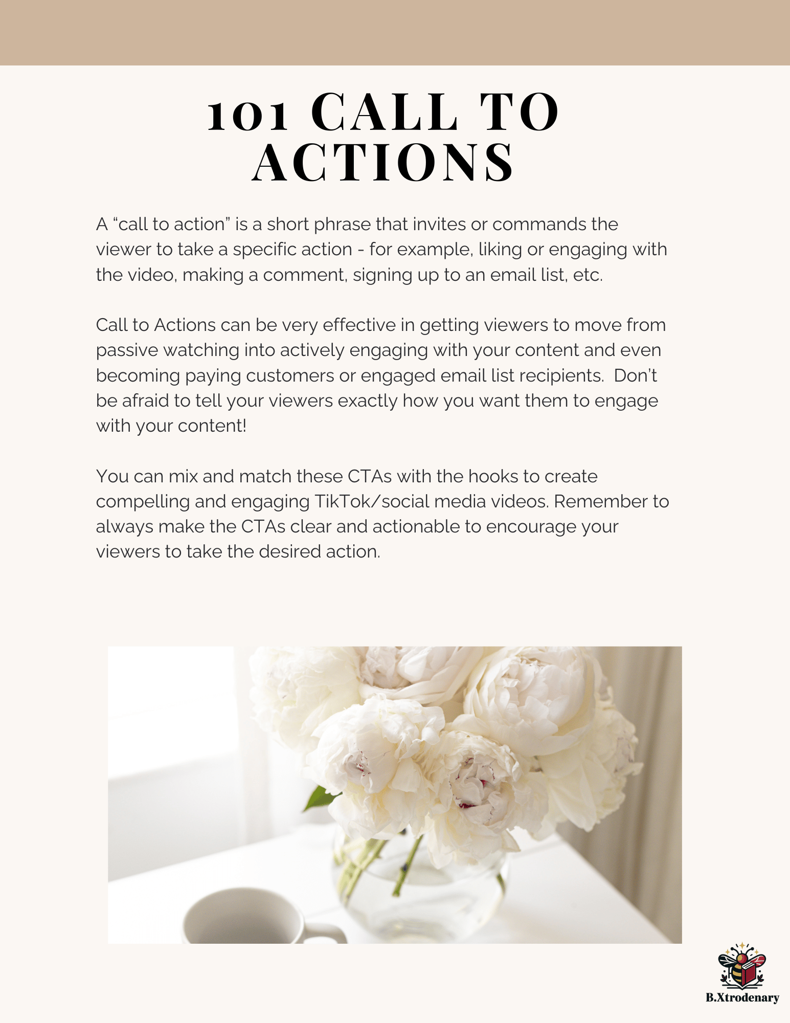 Social Media Content Guide | 100+ Hooks, 90-Day Content Plan & 300+ AI Prompts | Digital Download